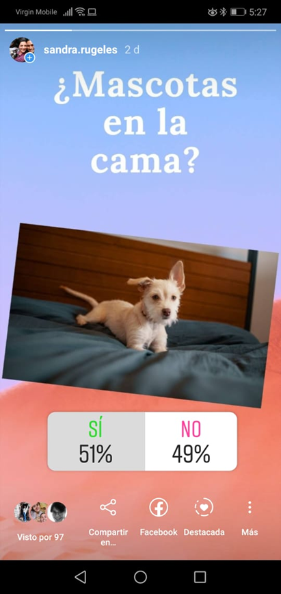 mascotas en la cama